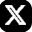 x icon