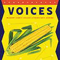 2026 Voices Cover